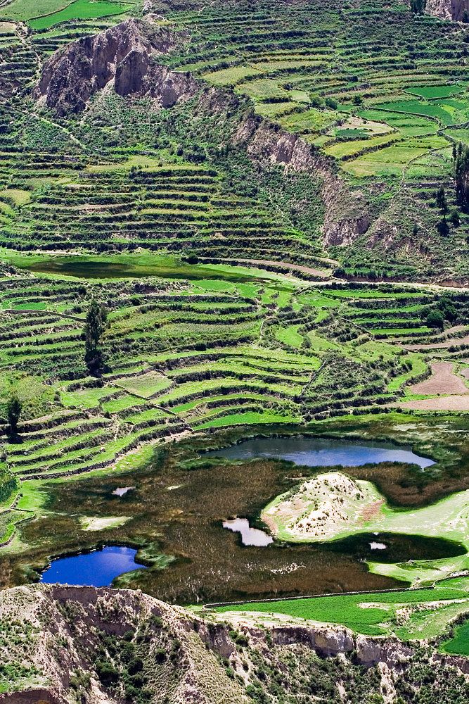 Canyon de colca Pérou