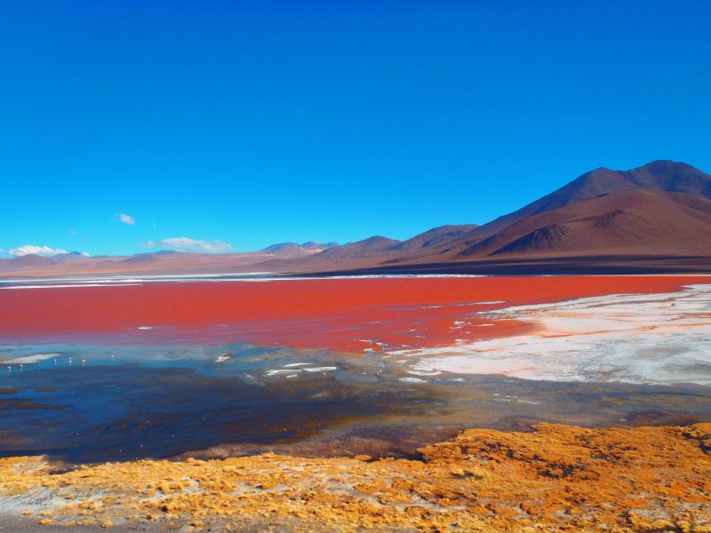 Laguna Colorada, Sud Lipez Bolivie
