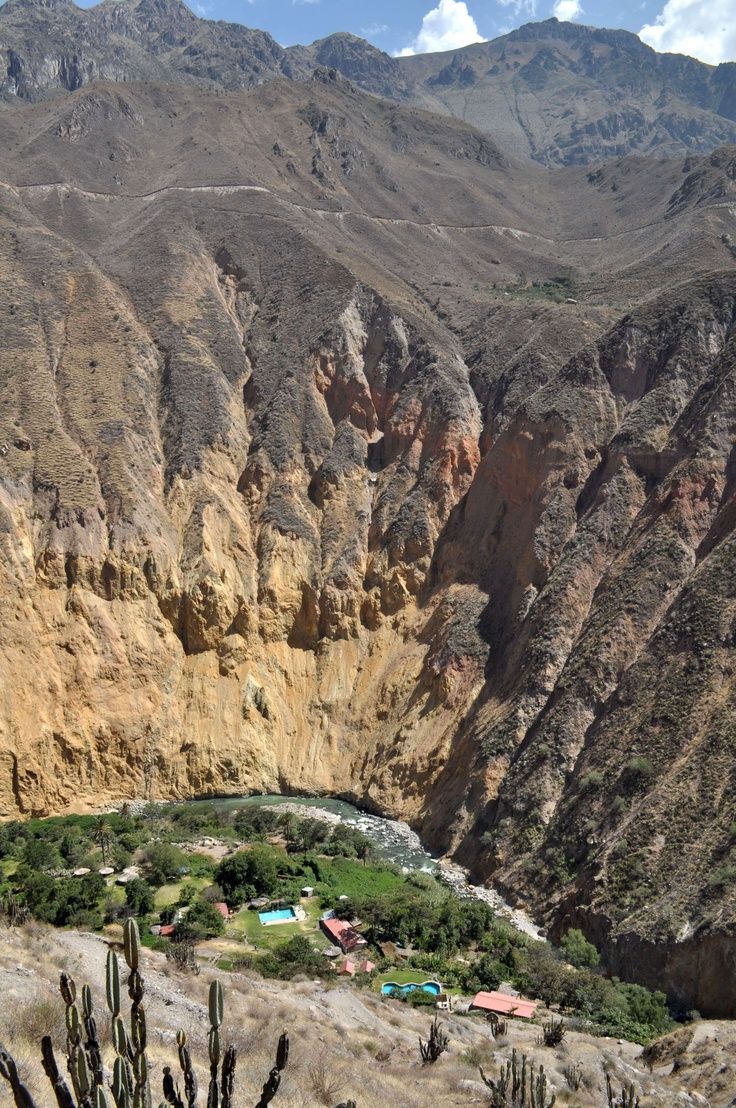 Oasis Colca Arequipa