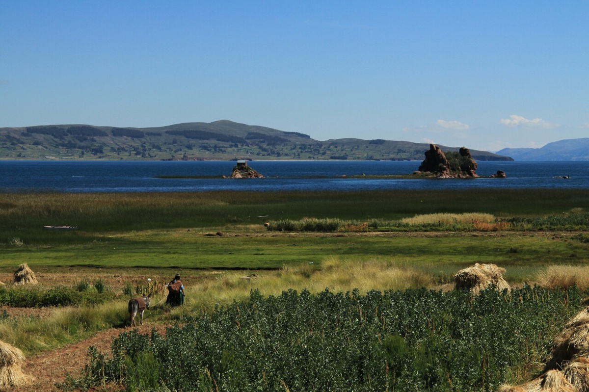 Peninsule de Socca Pérou insolite