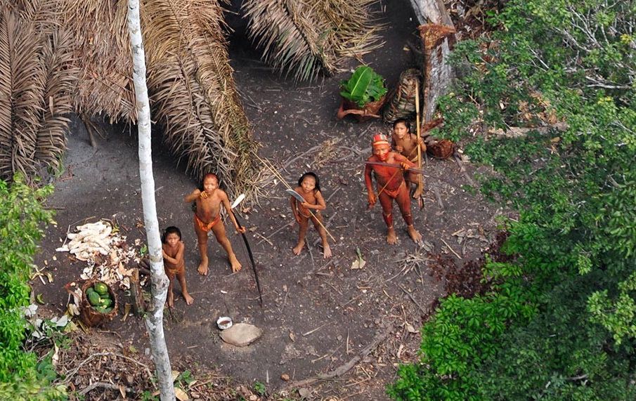 Tribu native