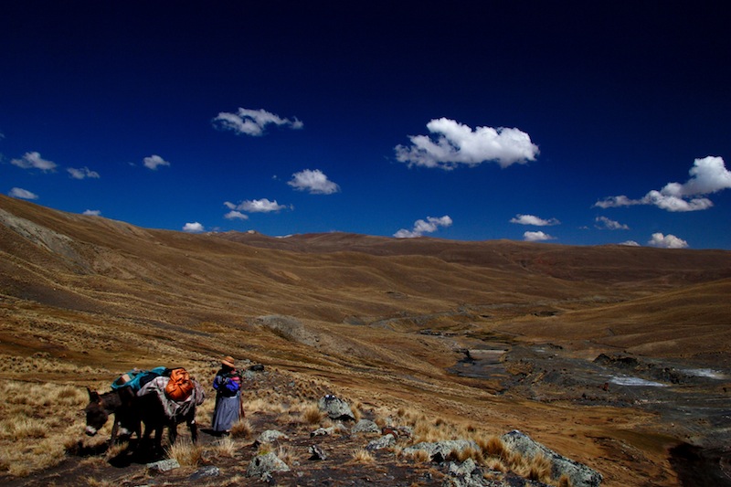 Andes bolivie