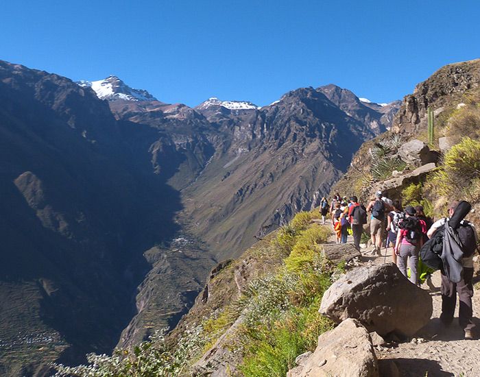 Trek canyon de colca