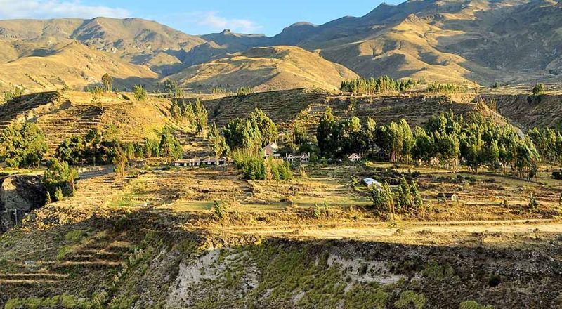 Hôtel Las Casitas del Colca – vue générale