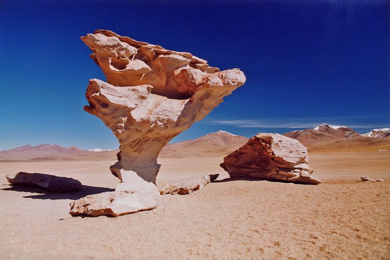 Arbre de Pierre, Sud Lipez, Bolivie
