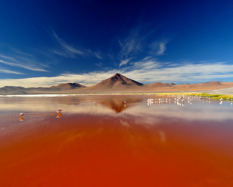 Laguna Colorada Sud Lipez