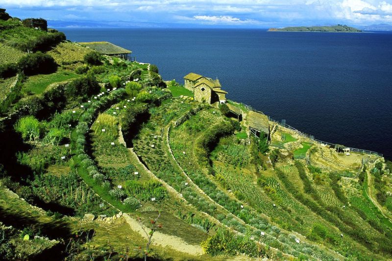 Ile du Soleil et lac Titicaca, Bolivie