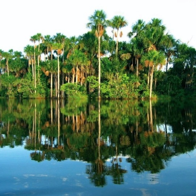 îles gamita voyage perou