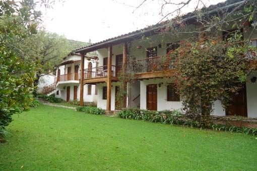 Hôtel El Patio de Monterrey – jardin