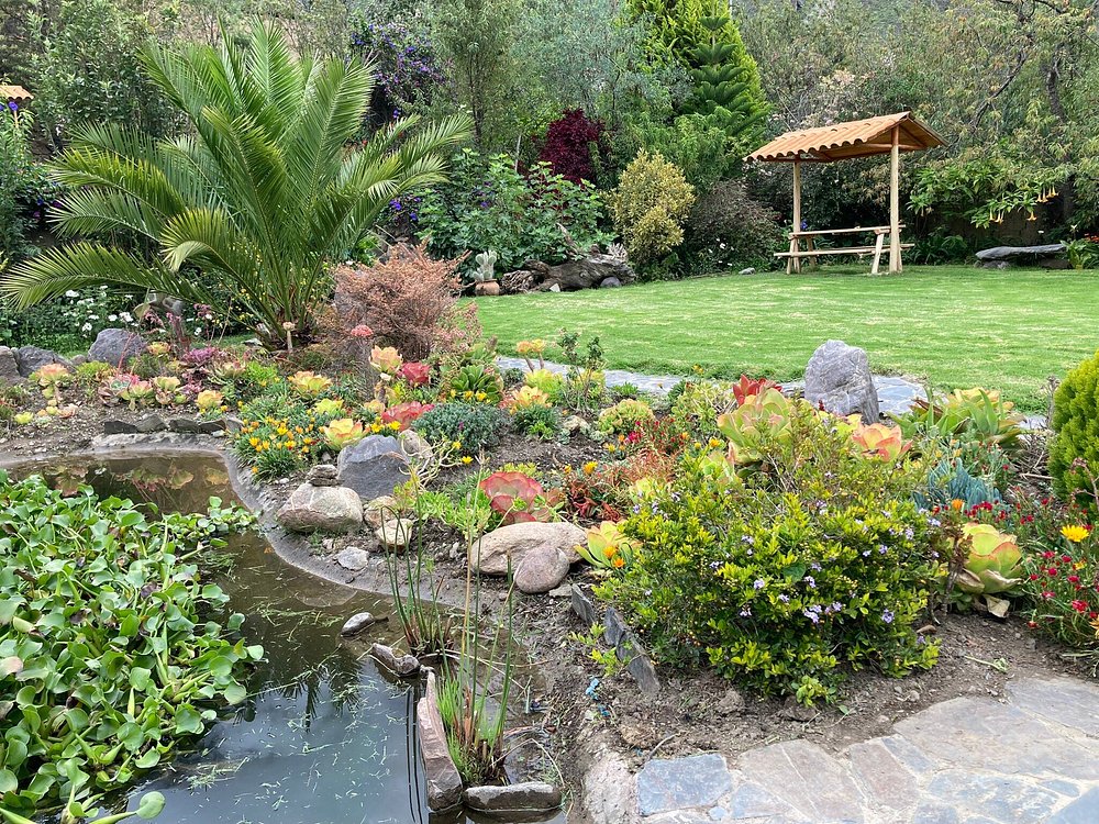Sol Natura hotel – garden