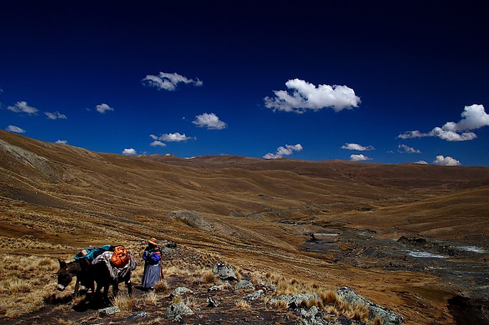 Climat de la Bolivie