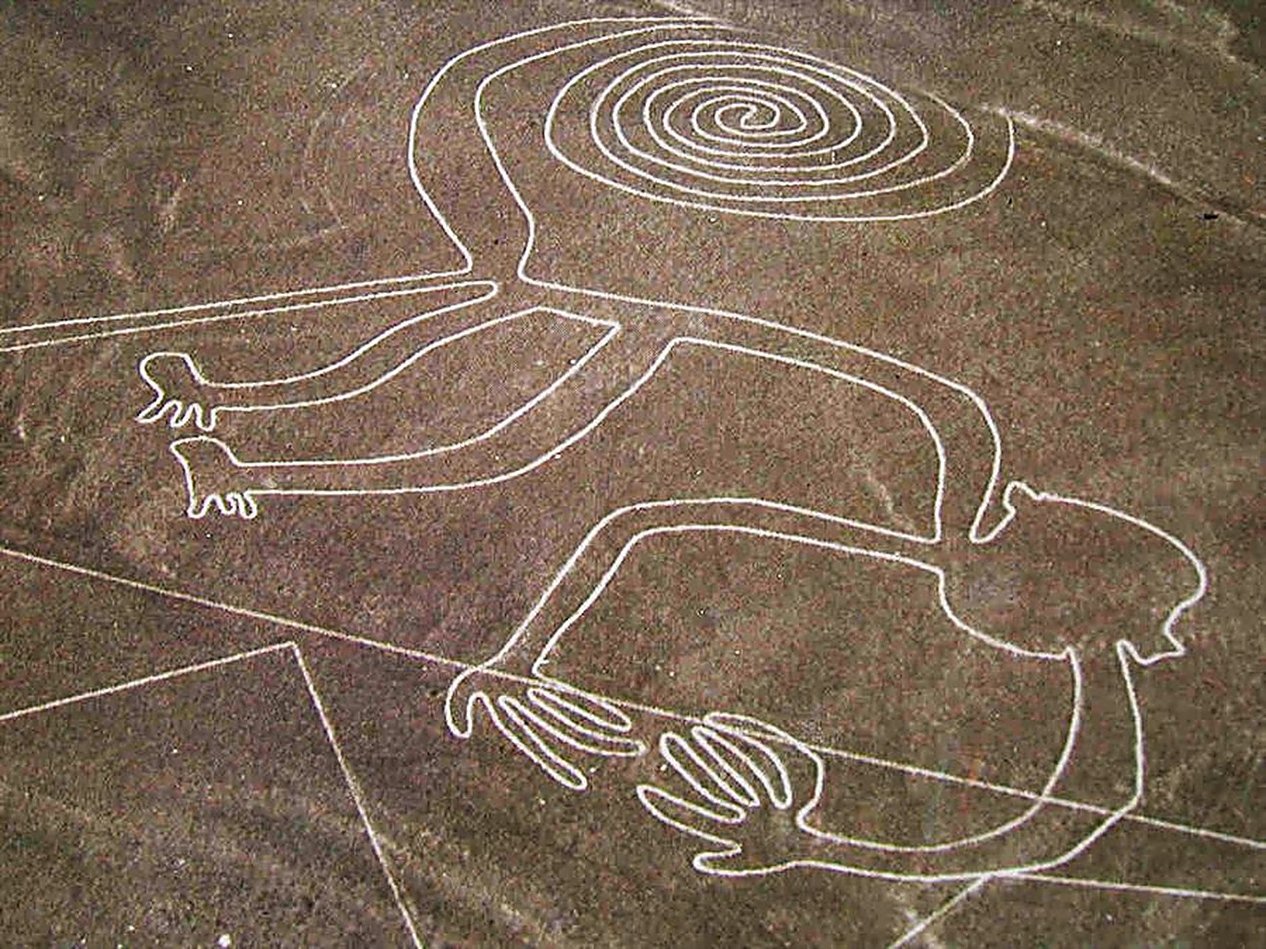 Lignes de Nazca, figure du singe
