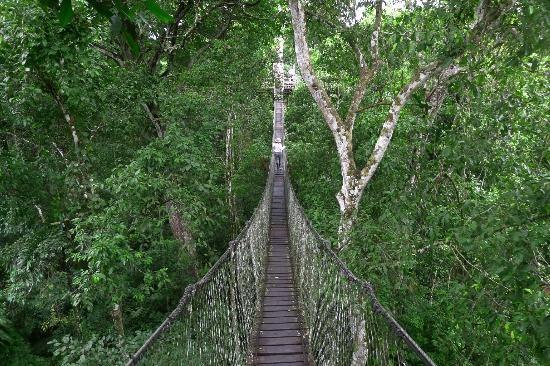 Puerto Maldonado: la porte de l'Amazonie