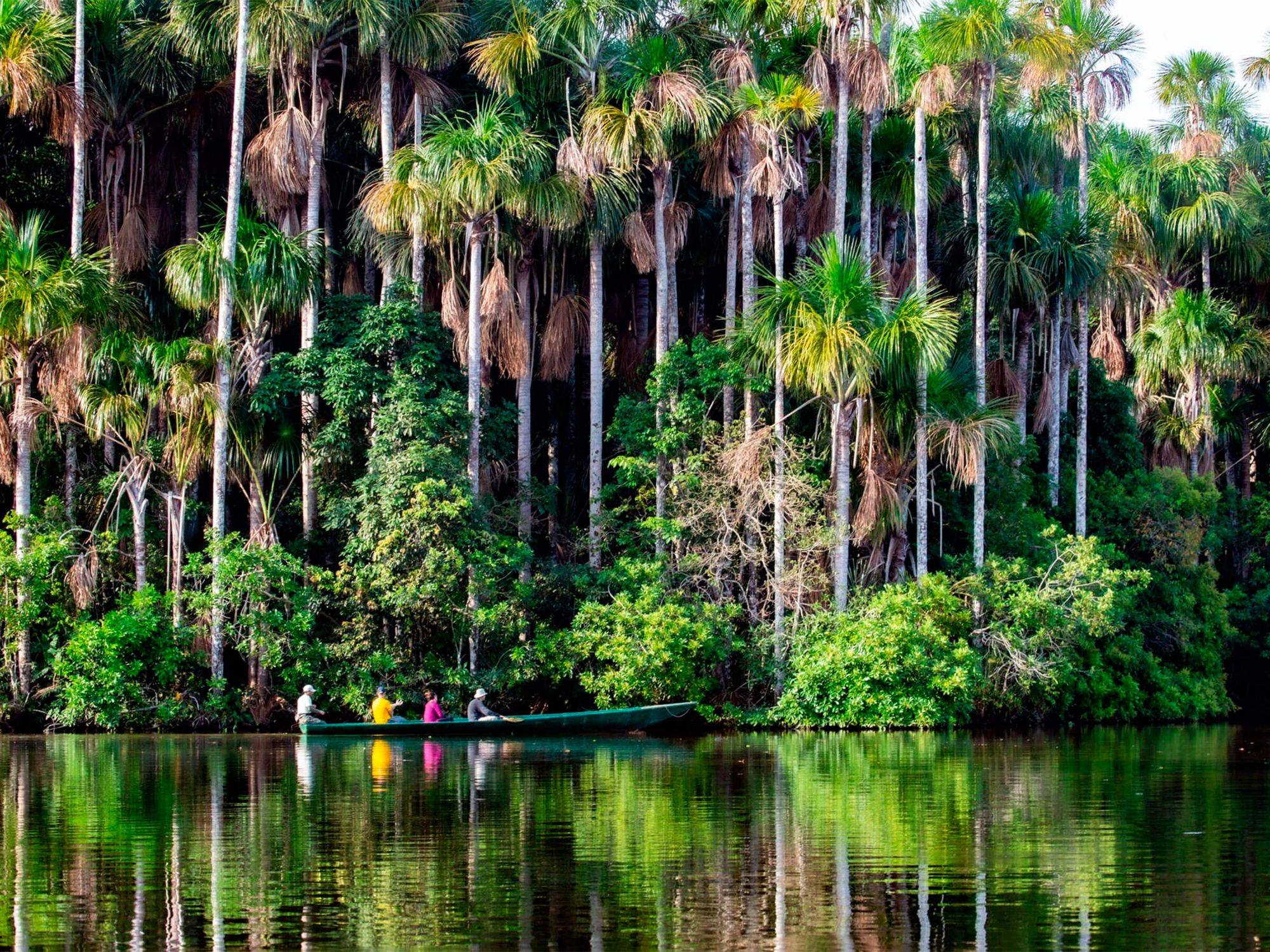 Puerto Maldonado: la porte de l'Amazonie